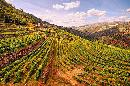 アルト・ドウロ・ワイン生産地域の写真とドローン空撮動画-ポルトガルの世界遺産　海外有名人気画像